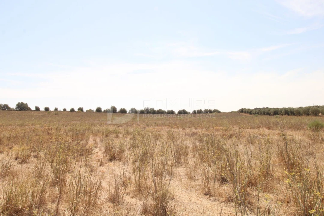 Terreno para Venda em Terrugem e Vila Boim Foto 9