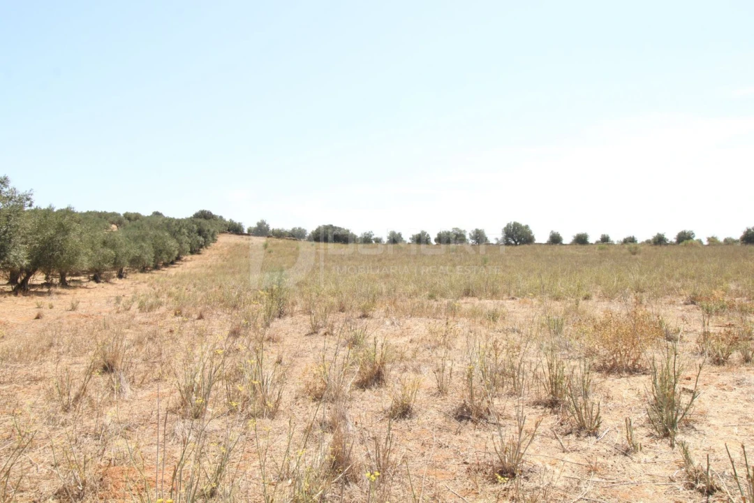 Terreno para Venda em Terrugem e Vila Boim Foto 11