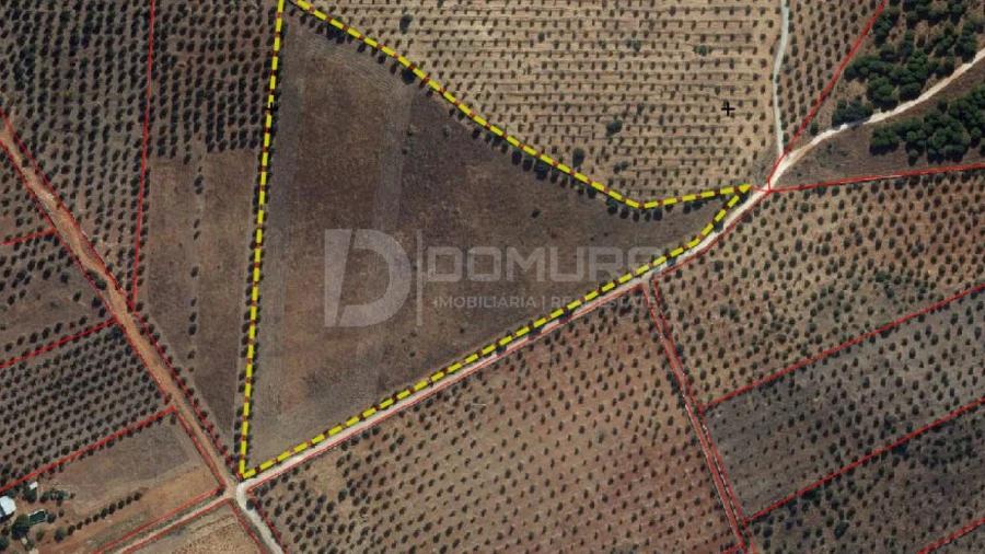 Terreno para Venda em Terrugem e Vila Boim
