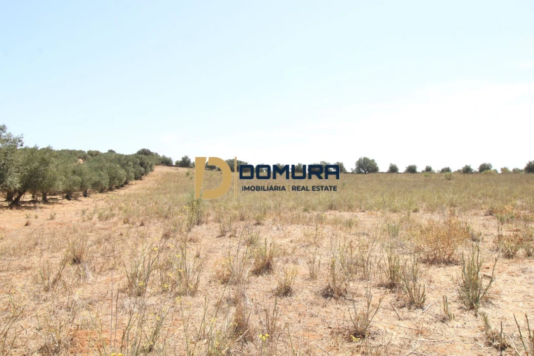 Terreno para Venda em Terrugem e Vila Boim Foto 11