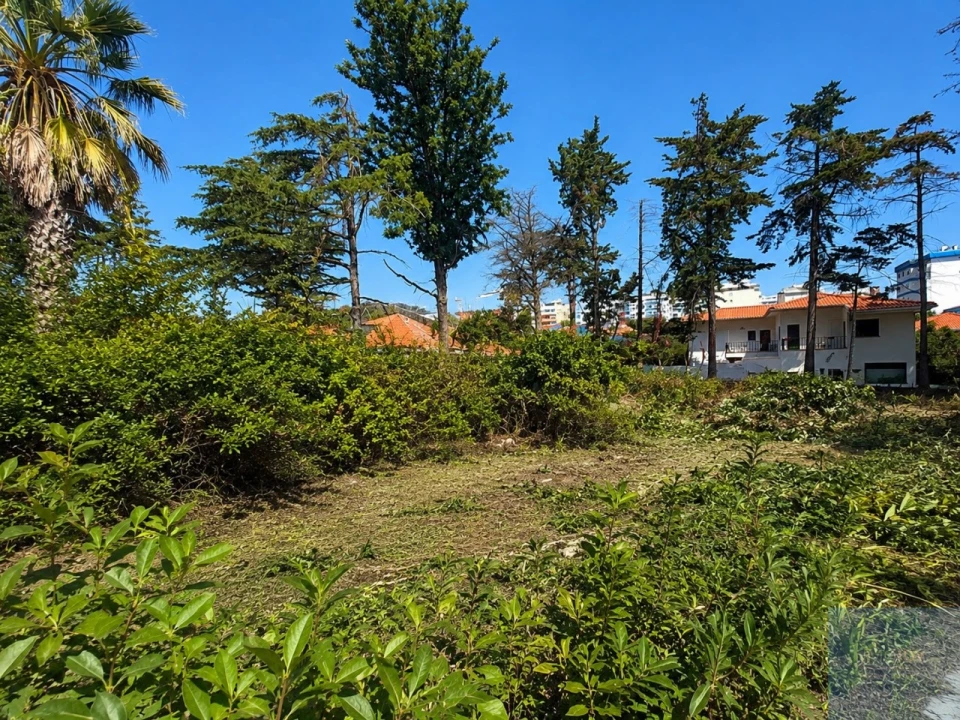Terreno para Venda em Oeiras e São Julião da Barra, Paço de Arcos e Caxias Foto 1