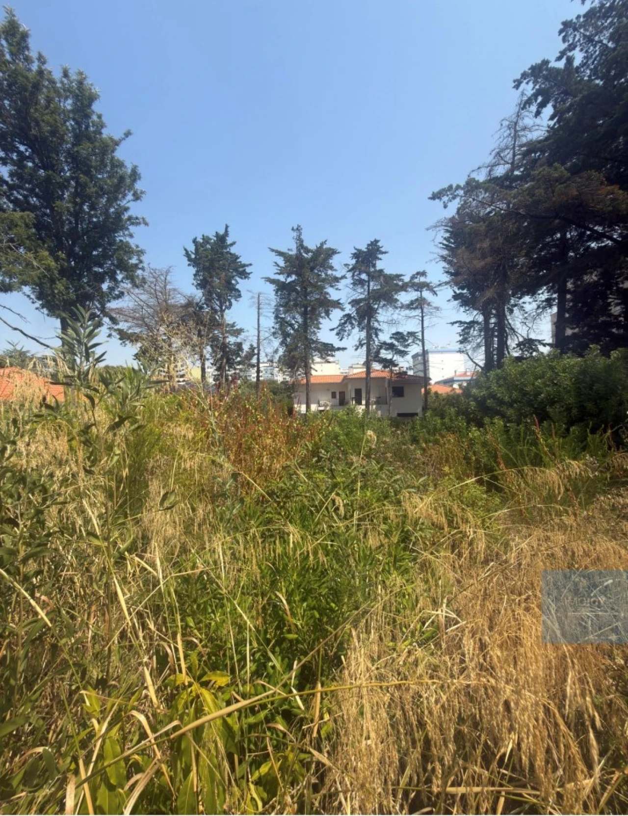 Terreno para Venda em Oeiras e São Julião da Barra, Paço de Arcos e Caxias Foto 4