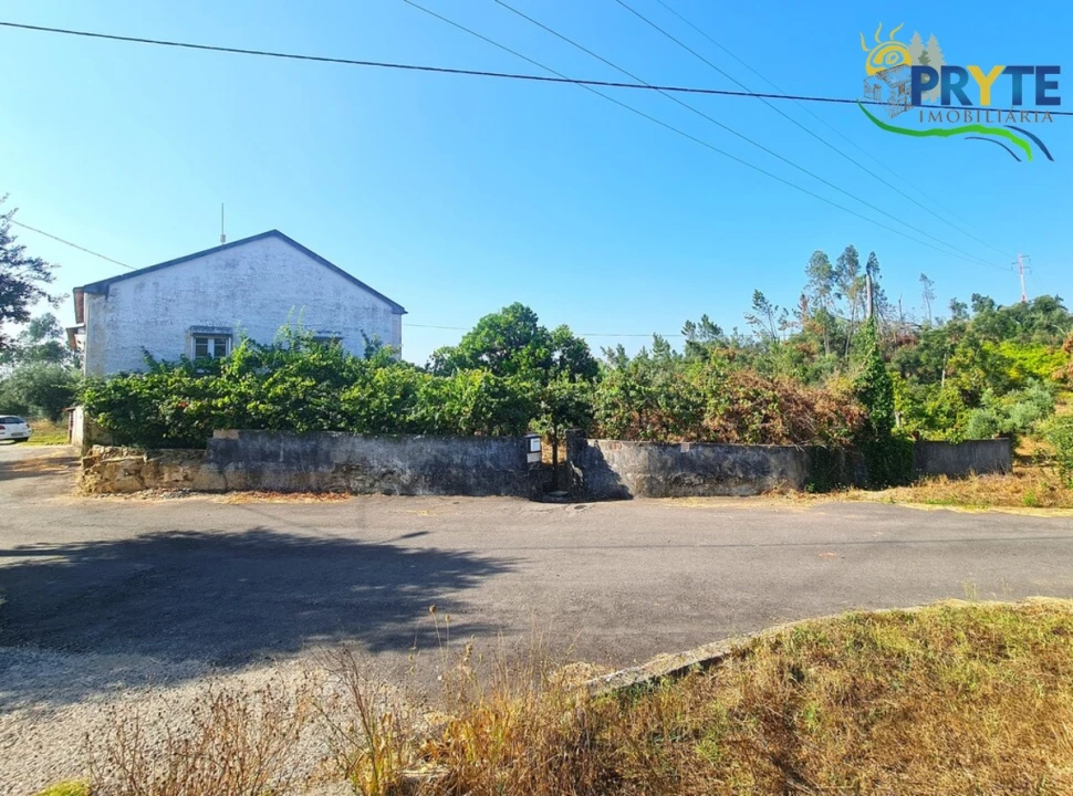 Quinta T3 para Venda em Cernache do Bonjardim, Nesperal e Palhais Foto 6