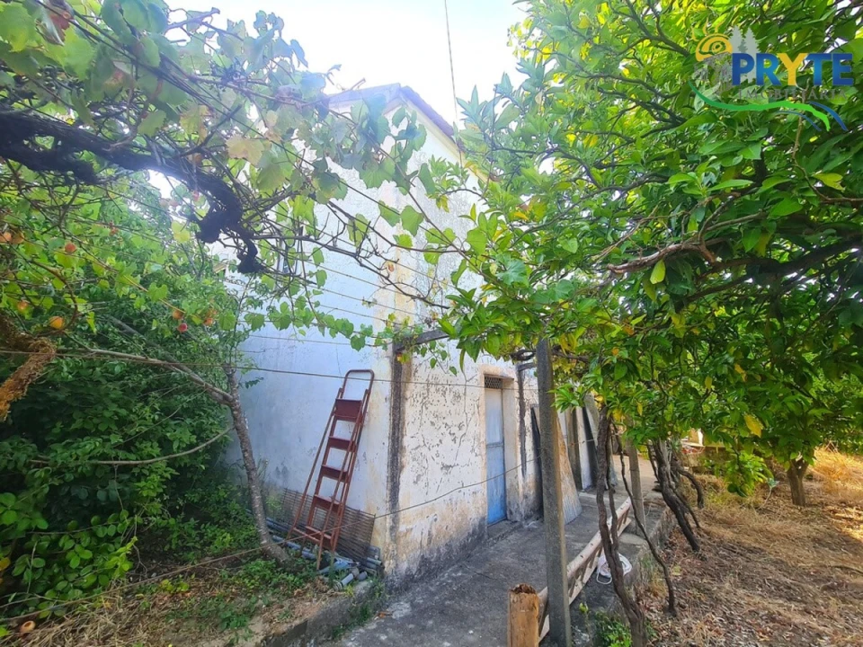 Quinta T3 para Venda em Cernache do Bonjardim, Nesperal e Palhais Foto 10
