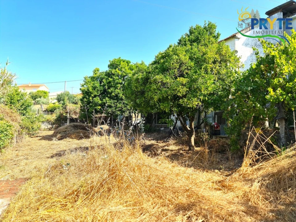 Quinta T3 para Venda em Cernache do Bonjardim, Nesperal e Palhais Foto 34