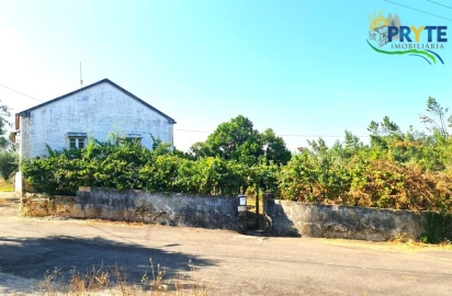 Quinta T3 para Venda em Cernache do Bonjardim, Nesperal e Palhais