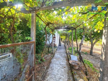 Quinta T3 para Venda em Cernache do Bonjardim, Nesperal e Palhais
