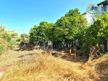 Quinta T3 para Venda em Cernache do Bonjardim, Nesperal e Palhais