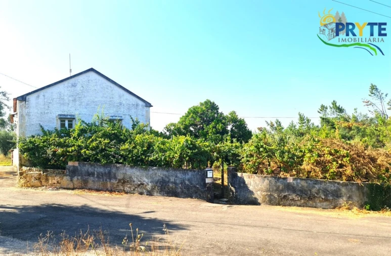 Quinta T3 para Venda em Cernache do Bonjardim, Nesperal e Palhais Foto 5