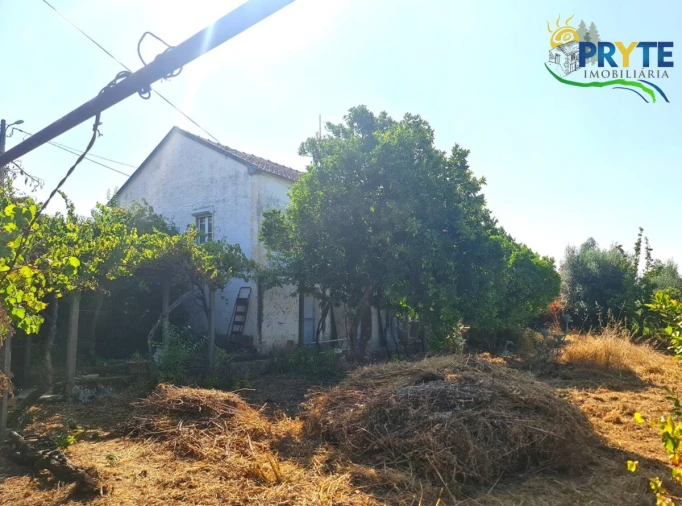 Quinta T3 para Venda em Cernache do Bonjardim, Nesperal e Palhais Foto 7