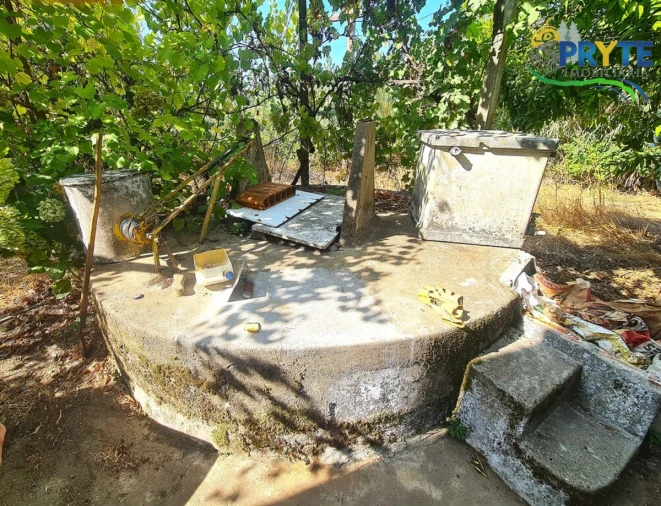 Quinta T3 para Venda em Cernache do Bonjardim, Nesperal e Palhais Foto 29