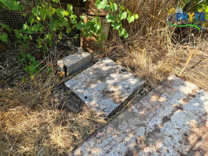 Quinta T3 para Venda em Cernache do Bonjardim, Nesperal e Palhais Foto 30