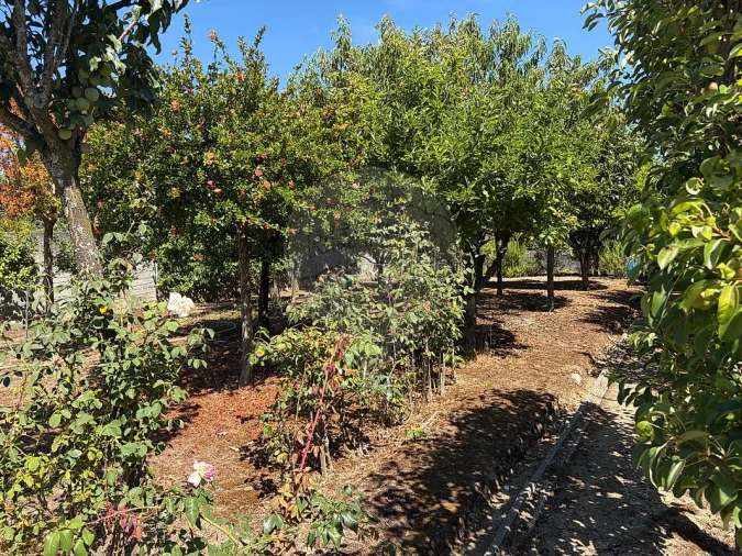 Terreno para Venda em Mafamude e Vilar do Paraíso Foto 10
