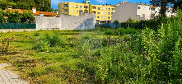 Terreno para Venda em Santa Maria de Lamas