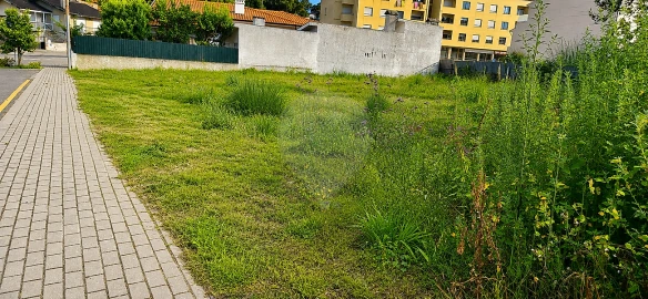 Terreno para Venda em Santa Maria de Lamas