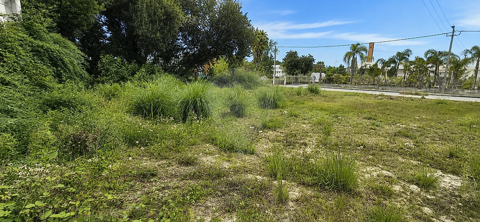 Terreno para Venda em Santa Maria de Lamas Foto 5
