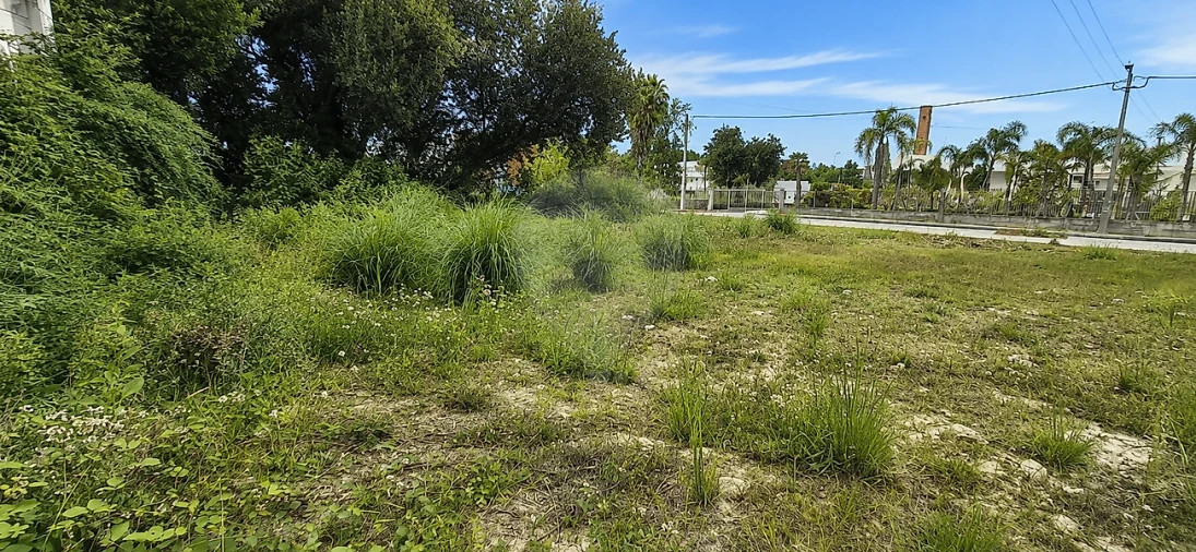 Terreno para Venda em Santa Maria de Lamas Foto 5