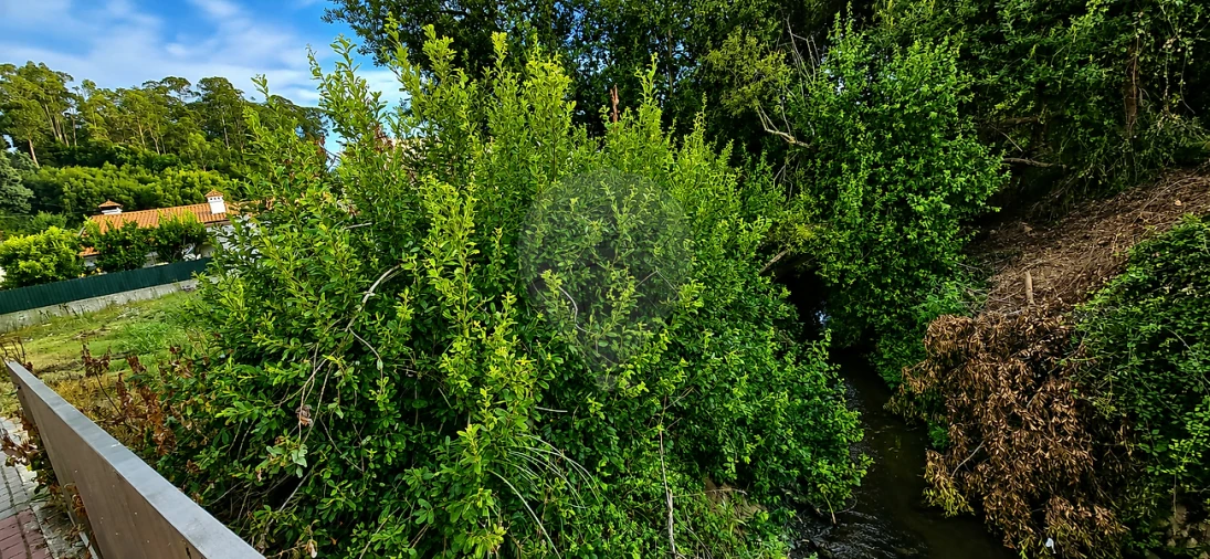 Terreno para Venda em Santa Maria de Lamas Foto 15