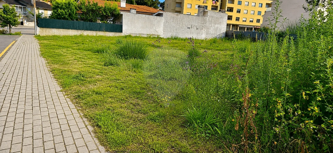Terreno para Venda em Santa Maria de Lamas Foto 9