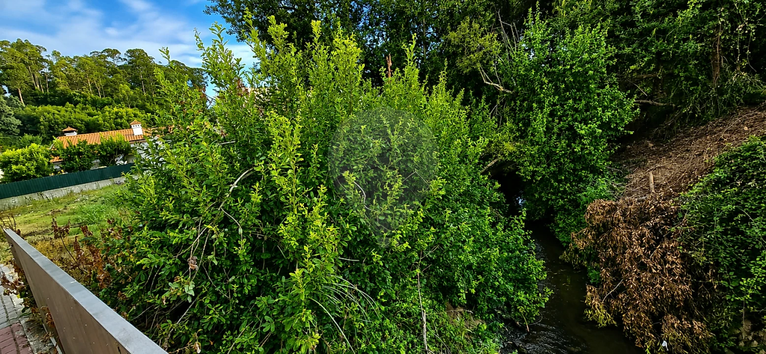 Terreno para Venda em Santa Maria de Lamas Foto 15
