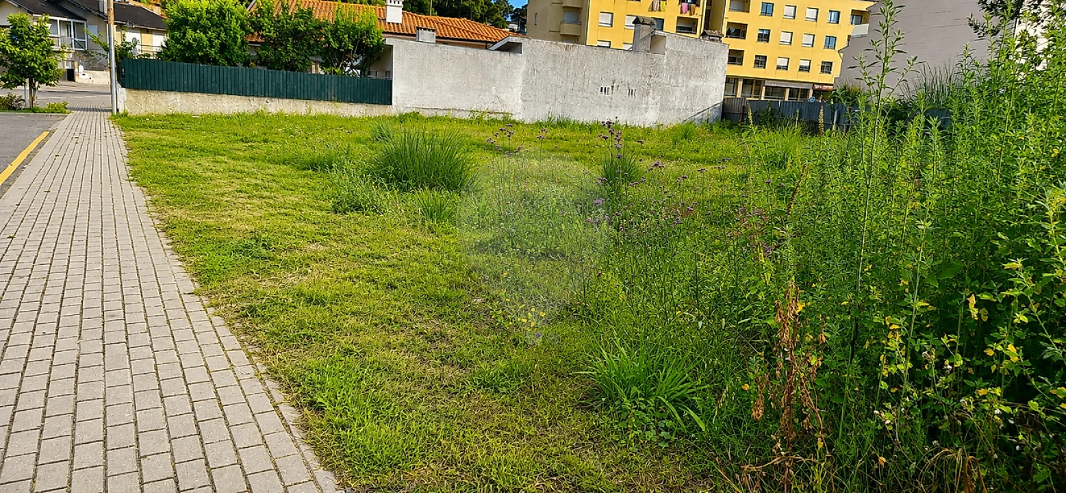 Terreno para Venda em Santa Maria de Lamas Foto 9