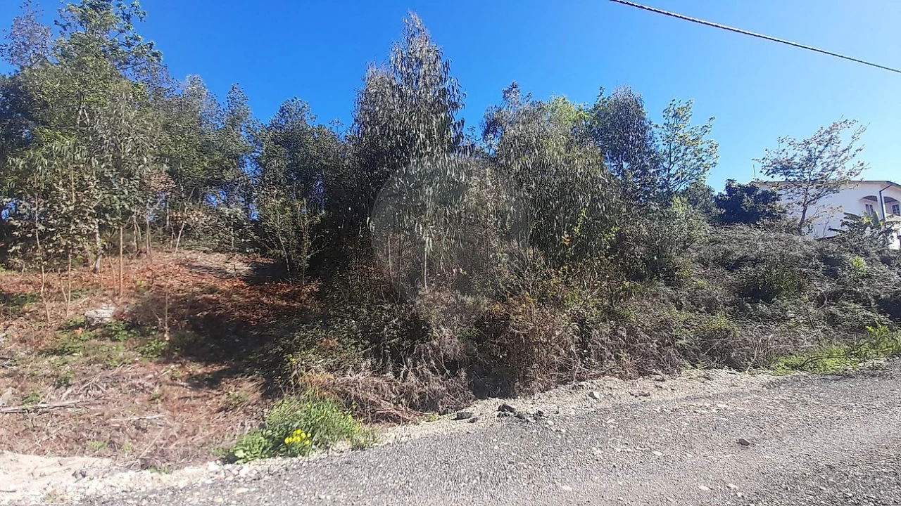 Terreno para Venda em Cacia Foto 1