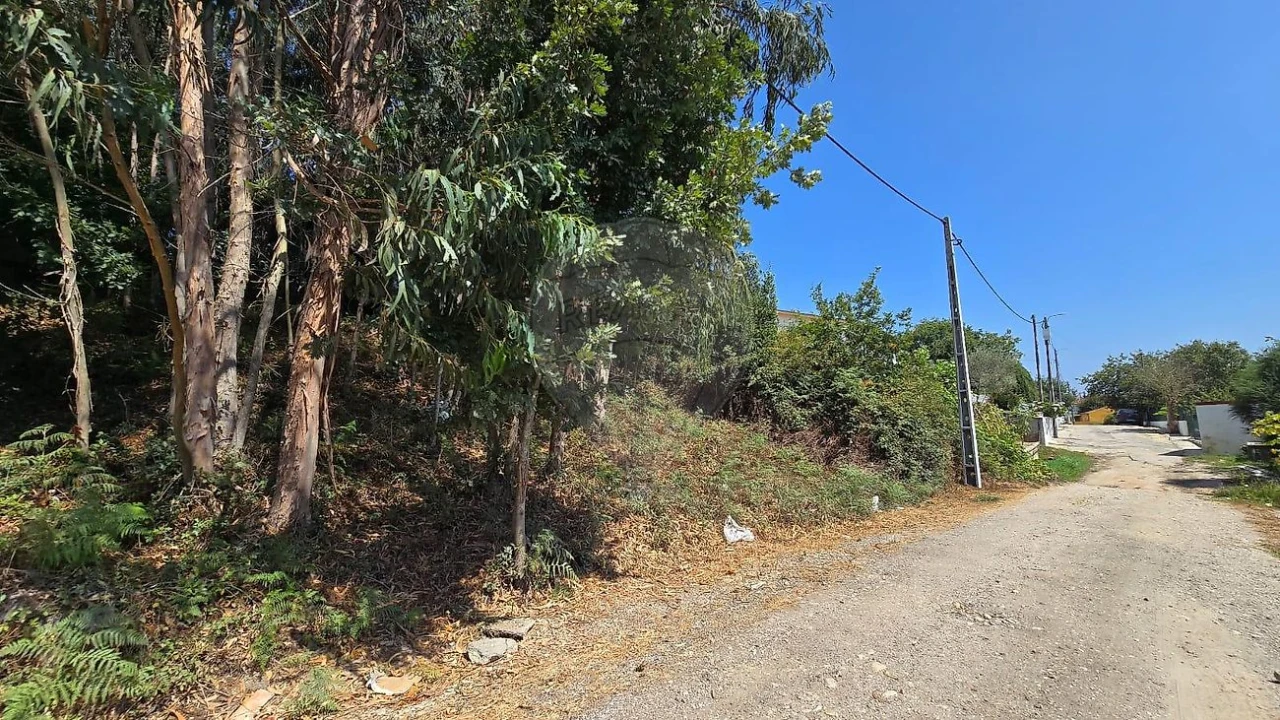 Terreno para Venda em Cacia Foto 6