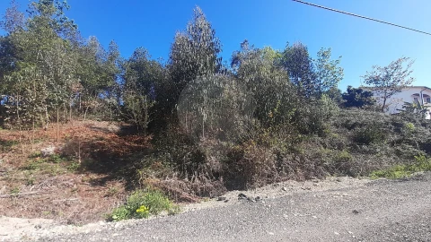 Terreno para Venda em Cacia