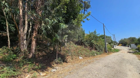 Terreno para Venda em Cacia