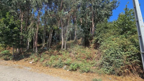 Terreno para Venda em Cacia