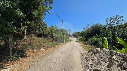 Terreno para Venda em Cacia
