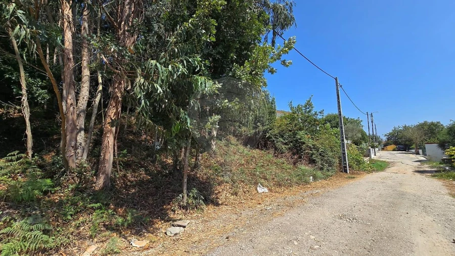 Terreno para Venda em Cacia Foto 6