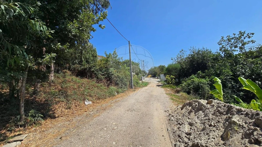 Terreno para Venda em Cacia Foto 5