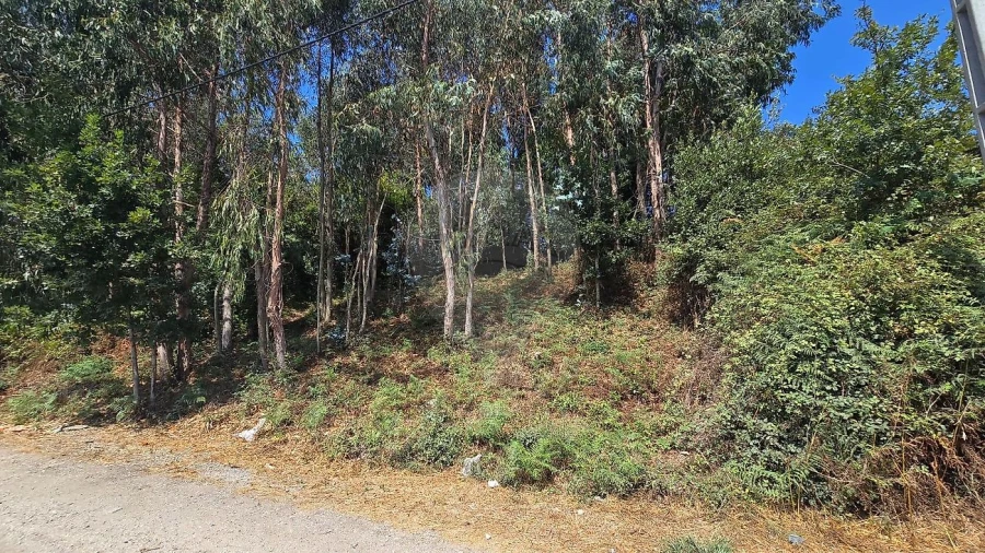 Terreno para Venda em Cacia Foto 4