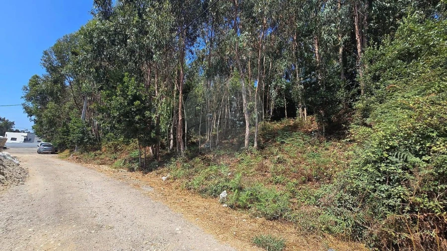 Terreno para Venda em Cacia Foto 3