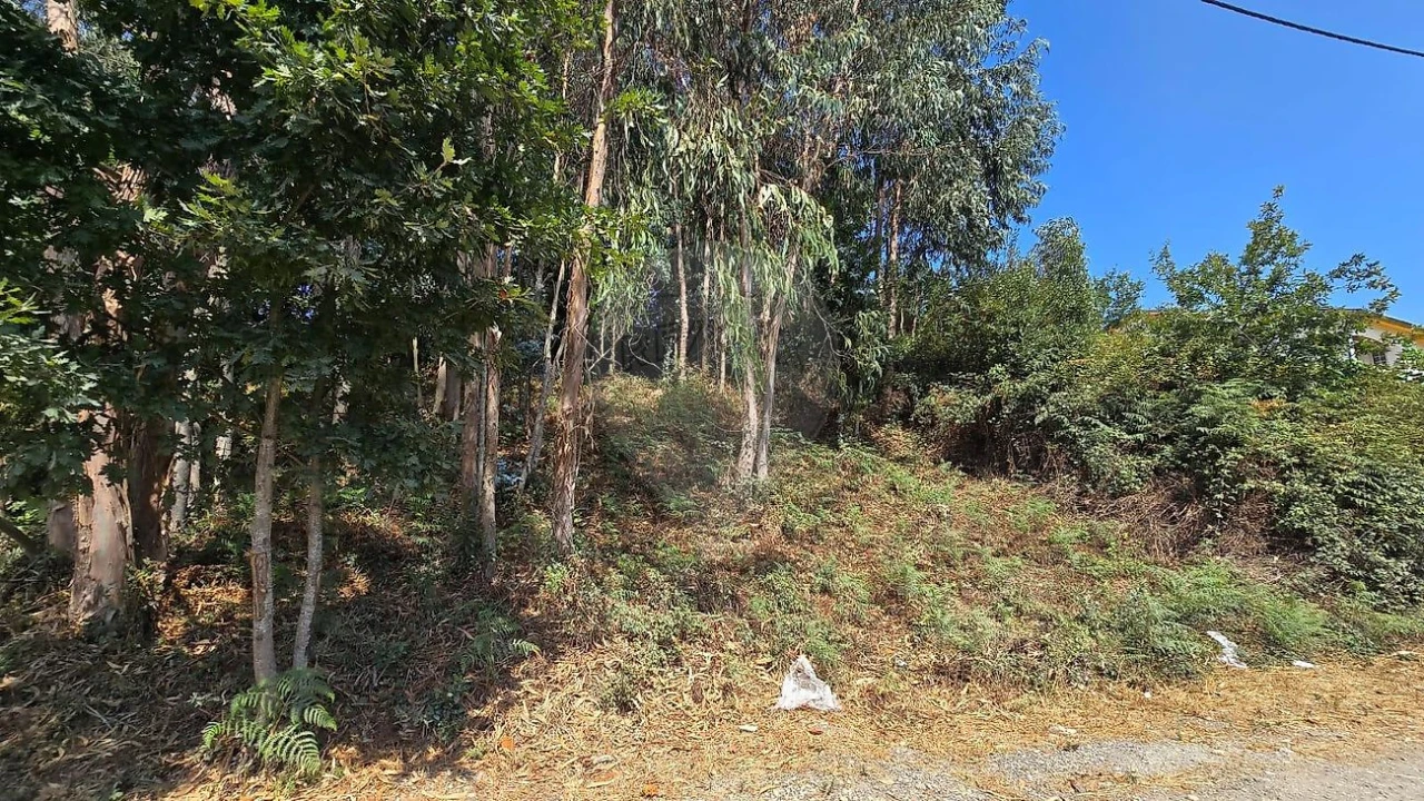 Terreno para Venda em Cacia Foto 7