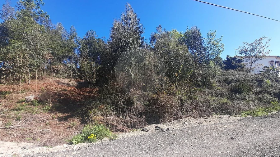 Terreno para Venda em Cacia