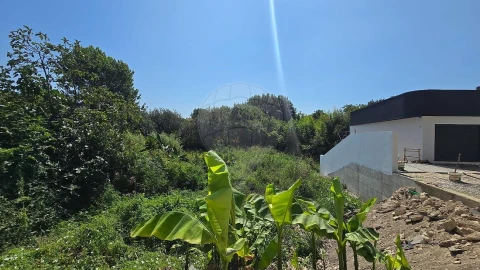 Terreno para Venda em Cacia