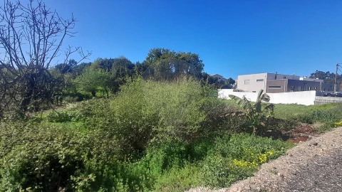 Terreno para Venda em Cacia