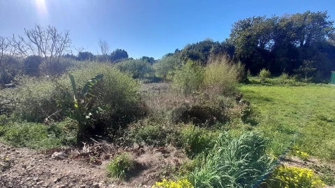 Terreno para Venda em Cacia