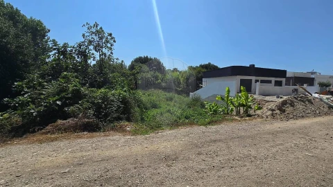 Terreno para Venda em Cacia