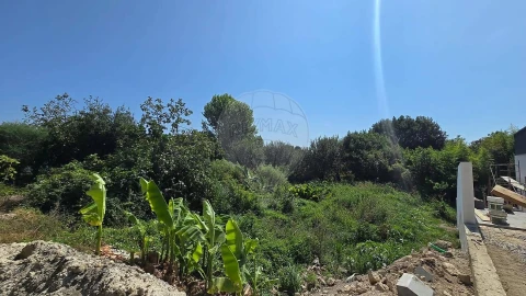 Terreno para Venda em Cacia