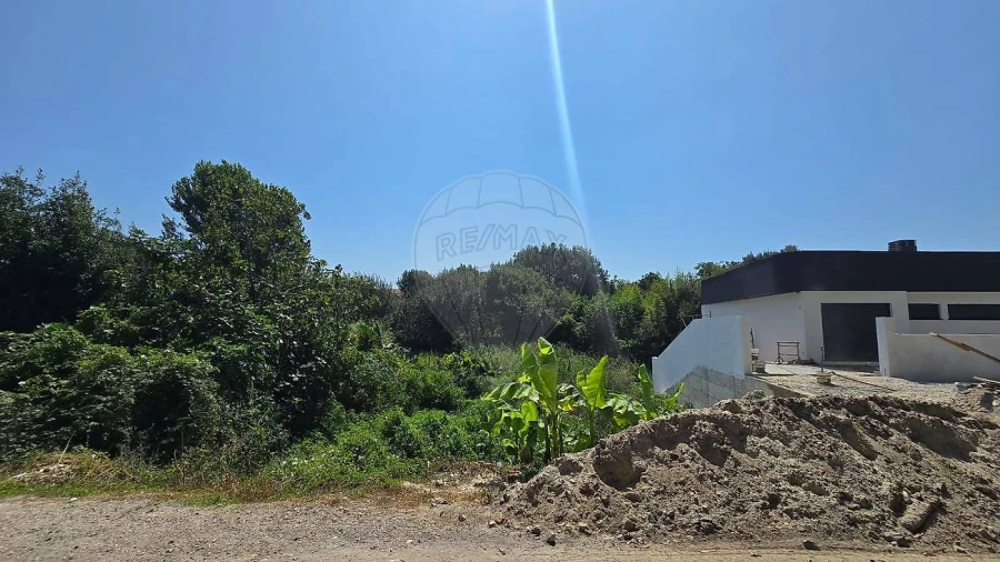 Terreno para Venda em Cacia Foto 5