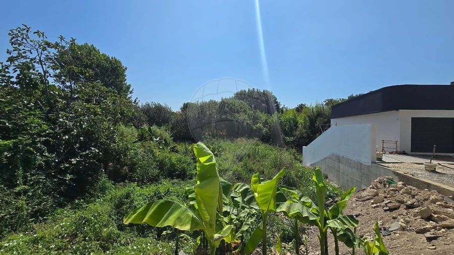 Terreno para Venda em Cacia Foto 6