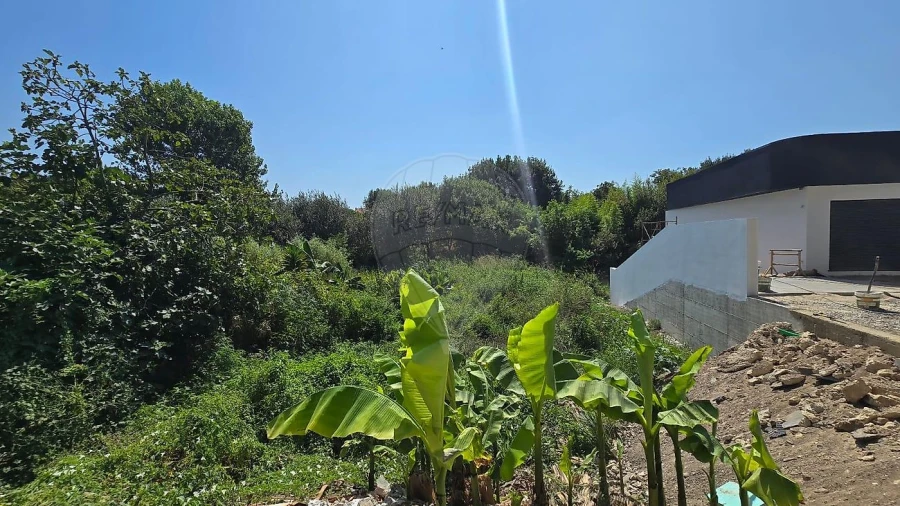 Terreno para Venda em Cacia Foto 10