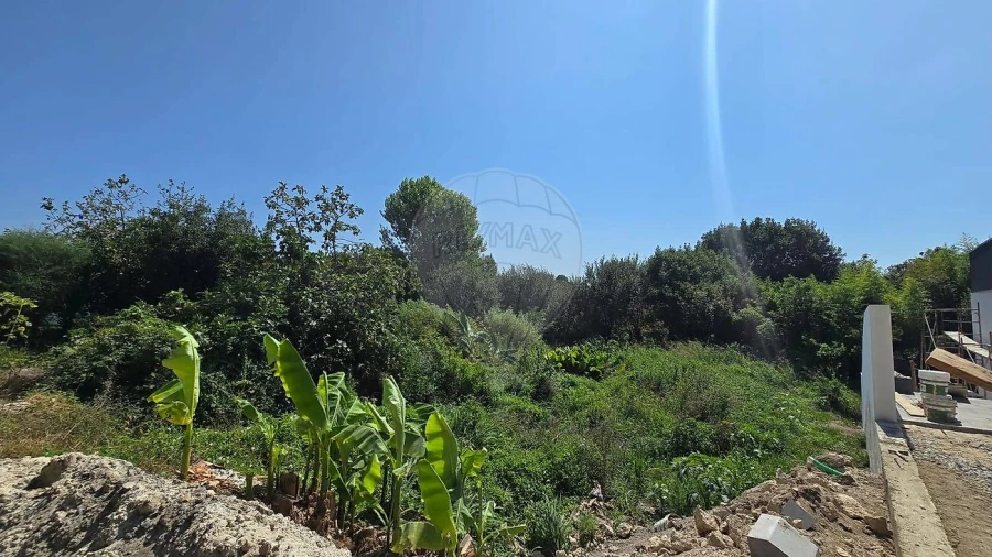 Terreno para Venda em Cacia Foto 11