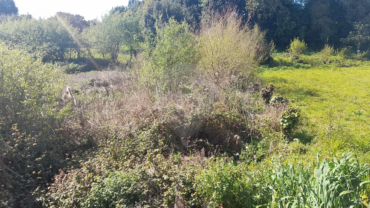 Terreno para Venda em Cacia Foto 4