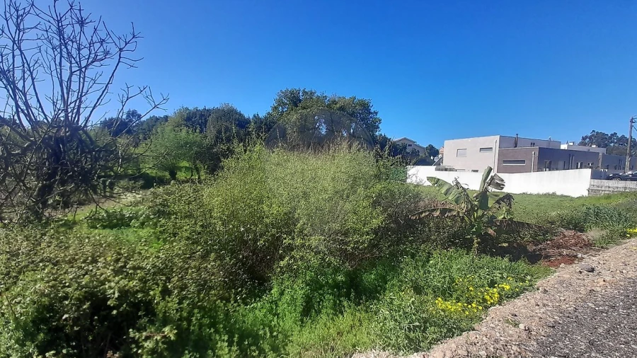 Terreno para Venda em Cacia