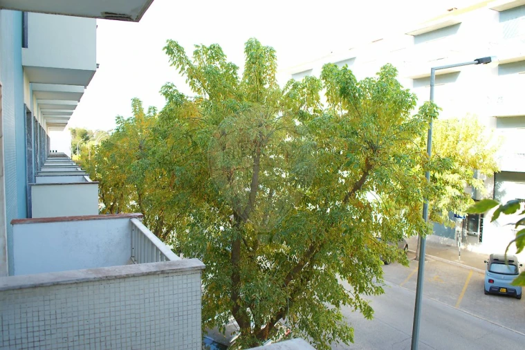 Apartamento T3 para Arrendamento em Montijo e Afonsoeiro Foto 24