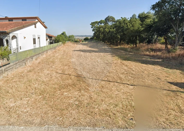 Terreno para Venda em Mealhada, Ventosa do Bairro e Antes Foto 5